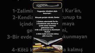 DÜNYADA GARİP OLANLAR 4 TANEDİRislamicstatus islamicshorts islam islamic allah shorts keşfet [upl. by Kauppi828]