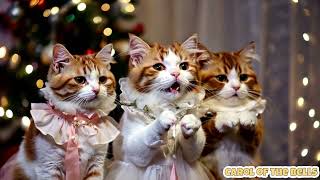 Funny Cats Singing Carol of the bells  Christmas Song [upl. by Terriss]