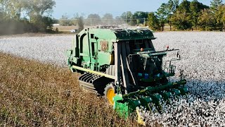 John Deere 7760 Cotton Picker in heavy Cotton [upl. by Dlaner]