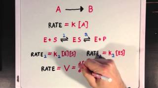 An Introduction To Enzyme Kinetics [upl. by Marcoux]