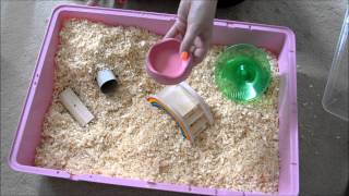 Hamster cage set up [upl. by Siesser431]