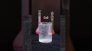 😳😳😳😳😳😳CO2😳😳😳😳😳😳experiment chemistry youtubeshorts science science scienceexperiment [upl. by Soph]