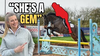 PRO SHOWJUMPER RIDES MY NEW HORSE [upl. by Eisus]