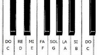 Las notas en el teclado [upl. by Annauj576]