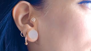 Tragus Piercing What You Should Know Before You Go [upl. by Ahsimot589]