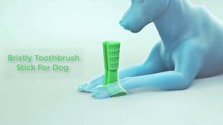 Bristly Toothbrush Stick For Dog On Sale DIY Toothbrush For Dog [upl. by Racso]