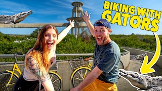 How to Visit Shark Valley  Bike Walk or Tram Everglades National Park Florida [upl. by Harbard872]