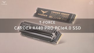 TFORCE CARDEA A440 PRO SSD Heatsink Assembly Guide  TEAMGROUP [upl. by Tolmann88]