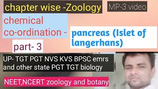 om bio study zone  islets of langerhansby Rksir [upl. by Renee]