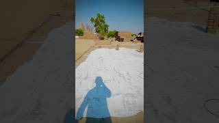 HeatProofing Roof with White Paint heatproofing summertips roofcooling [upl. by Namor631]