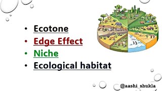 Ecotone  Edge Effect  Ecological Habitat  Niche  Unit 3  Environmental Biology  ugc net [upl. by Enaywd]