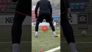 Goalkeeper Positioning Tips No 1 Goalkeeper Football Soccer Shorts [upl. by Ibbor]