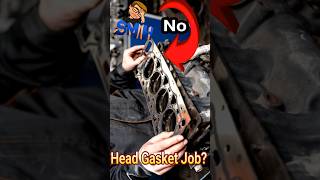 Fixing a Blown Cylinder Head Gasket Question for Mechanics [upl. by Anelam]