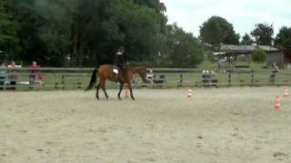 W Samo Południe  zawody western  Western Horsemanship Open  Dominika i Funny Girl [upl. by Annis]