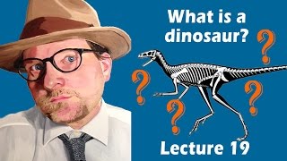 What is a dinosaur [upl. by Yntrok]