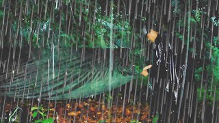 Super Heavy Rain  Solo Camping In heavy Rain Build Tarp Shelter [upl. by Allemahs]