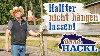 Lasst das Halfter nicht einfach hängen  Bernd Hackl erklärt 🐴 [upl. by Ised]