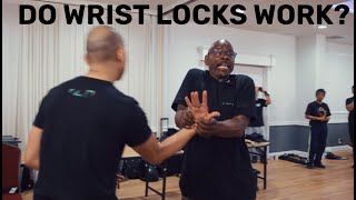 Mastering Finger Locks And Wrist Locks With Professor James Hundon [upl. by Mauricio360]