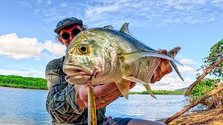 TROPICAL Estuary Fishing in Australia [upl. by Ellsworth765]