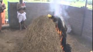 Viraja Homam as part of Vibhuti preparation [upl. by Sheply]