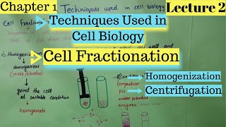 CELL FRACTIONATION  Homogenization  Centrifugation  Techniques Used in Cell Biology [upl. by Maller421]