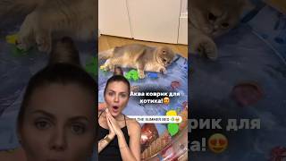 Арт221058465 мои супер находки wildberries ozon яндекс aliexpress [upl. by Irabaj]