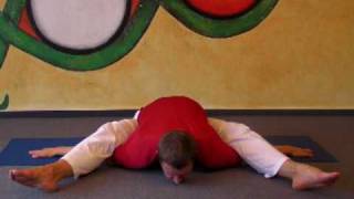 Tortoise  Kurmasana Yoga Asana [upl. by Hurlee301]