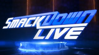 My AllCPU WWE 2K20 Universe Stream No Commentary WWE SmackDown LIVE TueNovW218 [upl. by Hassi]