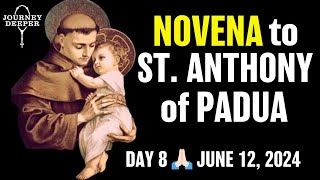 St Anthony of Padua Novena Day 8 🙏🏻 [upl. by Marb577]