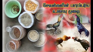 Sevalgalin paaramparya unavu murai tamiladiction sevalvalarpu sevalsandai [upl. by Dammahom742]