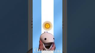 Himno Nacional Argentino 🇦🇷  Otamatone amp Kazoo Cover  National Anthem of Argentina [upl. by Hsivat51]