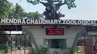 zirakpur zoo chandigarh Mahendra Chaudhary Zoological Park  28th Aug 2021 [upl. by Relyt649]