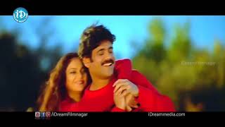 Nuvvante Nakishtam Video Song  Santosham Movie Nagarjuna Gracy Singh Shriya Saran [upl. by Creight189]