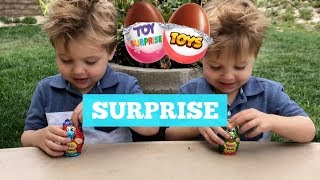 Twins FIRST SURPRISE Eggs 😱 WOW Toys [upl. by Lindley]