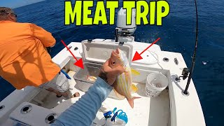 We put the Meat in the box Atlantic ocean fishing with light tackle [upl. by Valaria950]