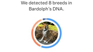 Bardolph’s DNA Results [upl. by Fakieh]