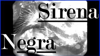 Sirena Negra último descubrimiento [upl. by Ileray]