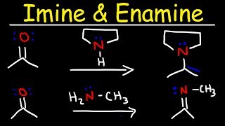 Imine and Enamine Formation Reactions With Reductive Amination [upl. by Stortz153]