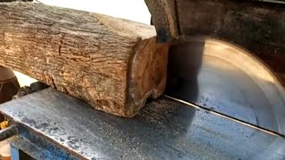 The Fastest and Most Dangerous Disc Saw Wood Splitting Machine  Monster Stump Removal Saw [upl. by Dorian902]