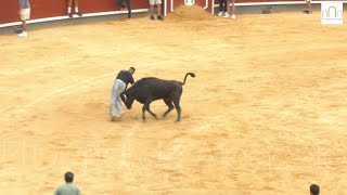 Vaquillas Feria de Albacete 2024 11 de septiembre [upl. by Chaddie586]