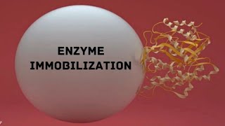 Enzyme Immobilization [upl. by Wilfreda]