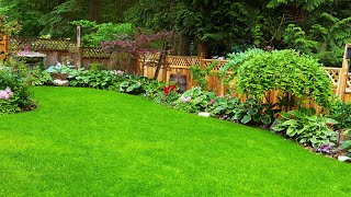 BEST 100 PRIVACY FENCE LANDSCAPING DESIGNS  BENEFITS DESIGNING IDEAS AND BUDGETFRIENDLY FENCE [upl. by Andras]