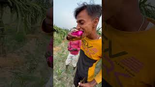 Inko Fruits Kaha se mel Gya minivlog aftabvlog shorts farming vlog aftabshaikh [upl. by Nnaael]