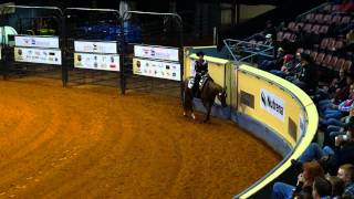 00133 Western Horsemanship AQHA World Show rail work [upl. by Peppy]