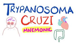 Trypanosoma Cruzi Mnemonic  Chagas Disease [upl. by Mcguire716]