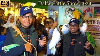 Exotic Bird Parrots and Animals at DALFA Cattle Show 2024 Expo Center Karachi पक्षियों की प्रदर्शनी [upl. by Nadroj]