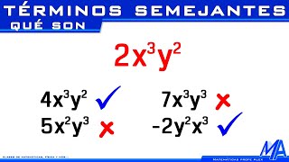 Términos semejantes [upl. by Hakvir]