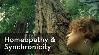 Homeopathy amp Synchronicity [upl. by Attenyw]