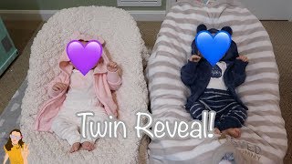 Reborn Baby Twins Reveal  Kelli Maple [upl. by Lemal]