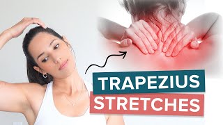 9 Effective Trapezius Stretches to Release Trapezius Pain and Tightness [upl. by Bearnard797]